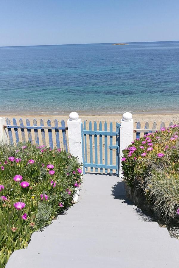 Anemos Seaside House Villa Skyros Buitenkant foto